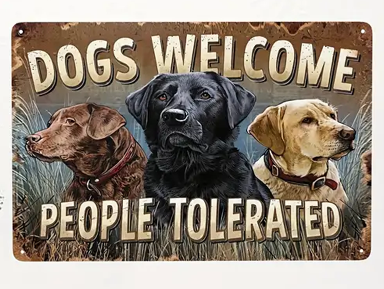 Dogs Welcome People Tolerated