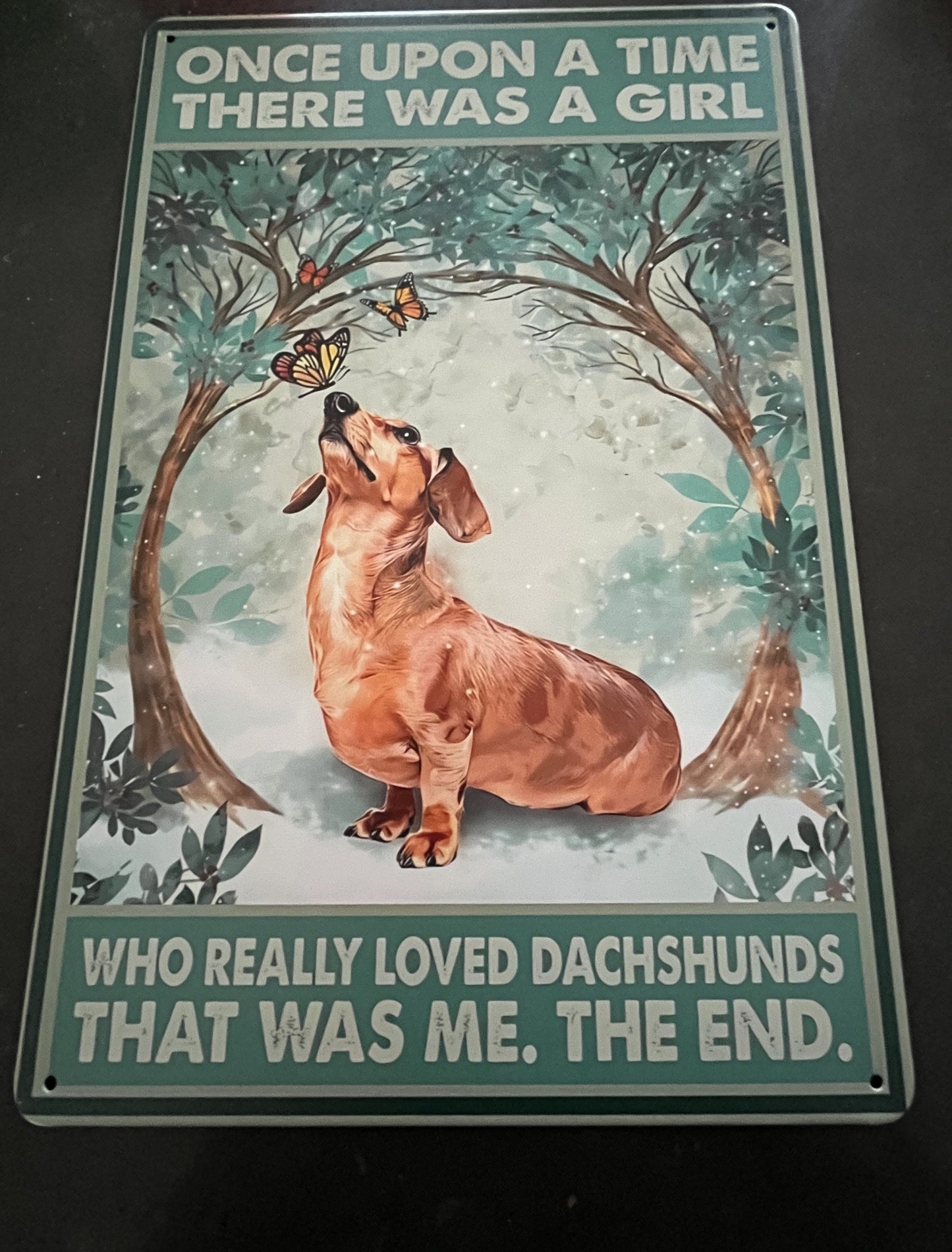 Dog Dachshund Brown