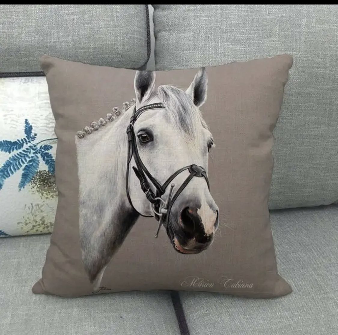 Horse Head Grey