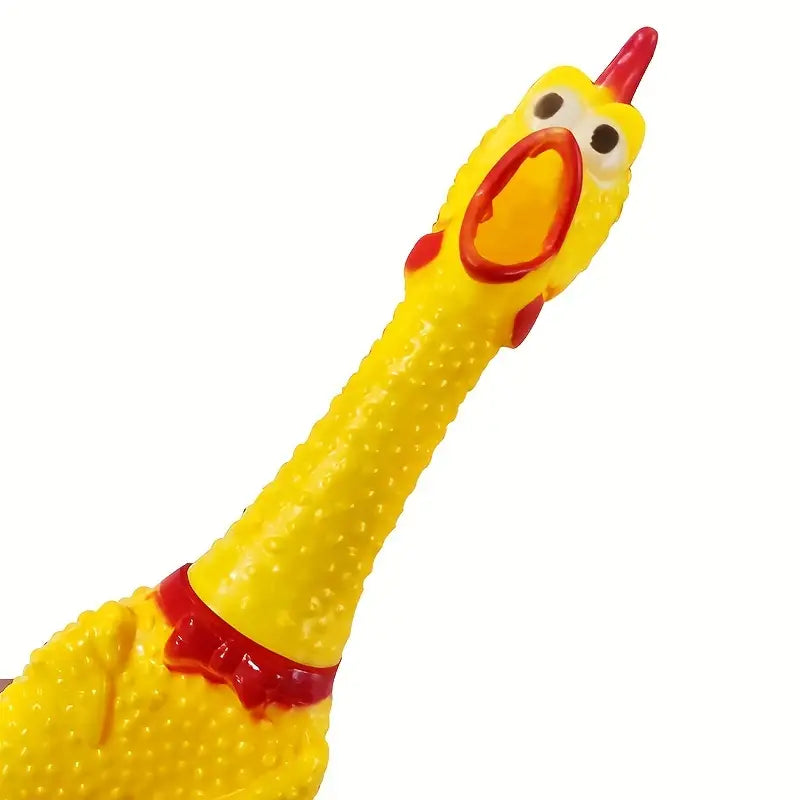Screaming Chicken!