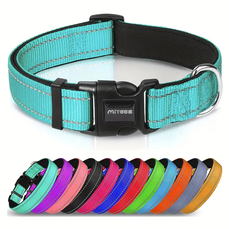 Dog Collar in Extra Large