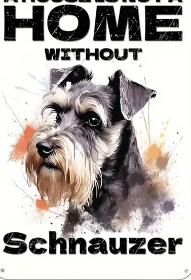 Schnauzer - a House is not a home without a schnauzer