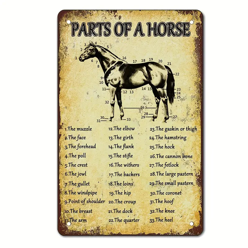 Horse Parts