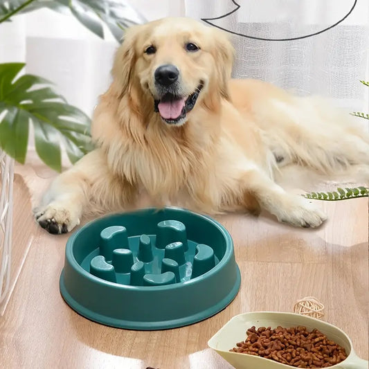 Dog - Slow Feeder Bowl - medium