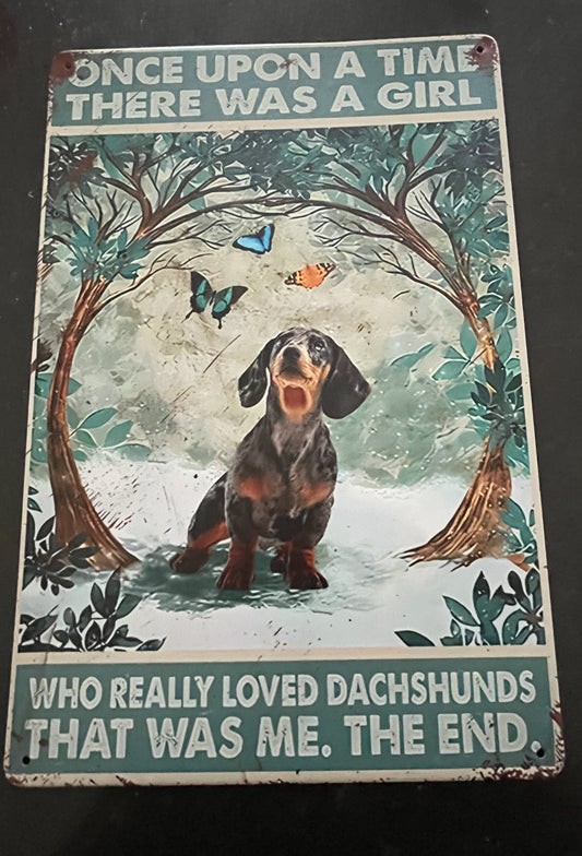 Dog Dachshund Black