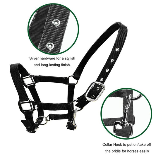 SUPER SPECIAL SECONDS    Horse Halter Series Two