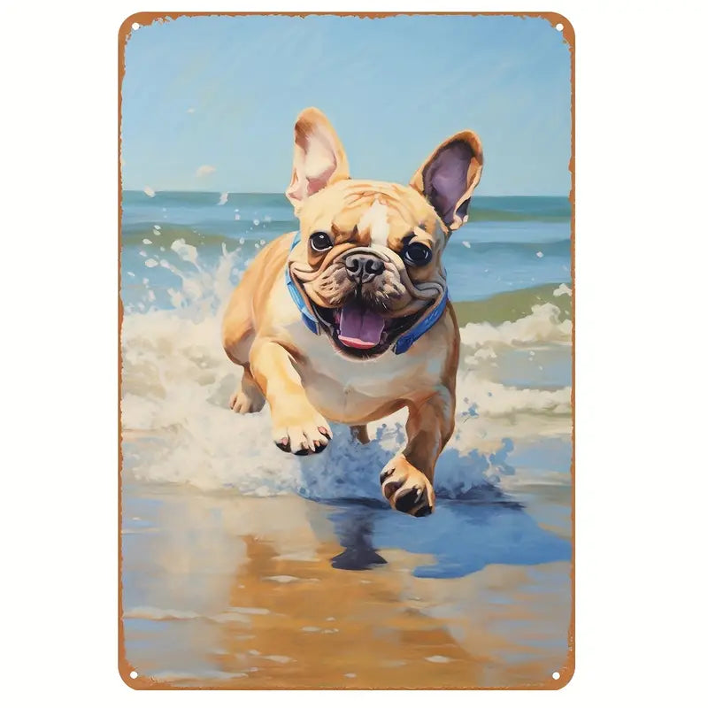 Dog - French Bulldog