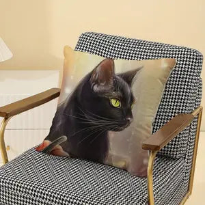 Cat  Black