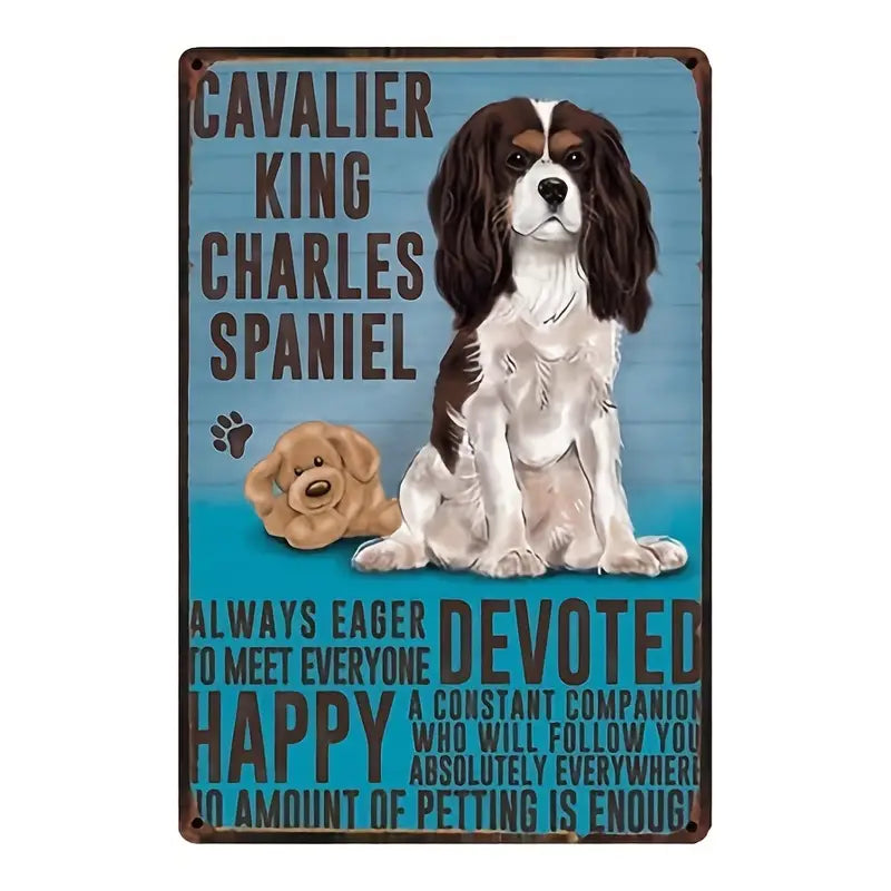 Dog King Charles Spaniel