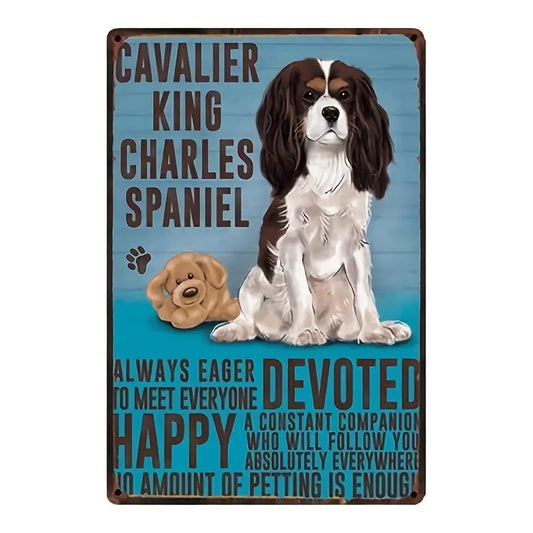 Dog King Charles Spaniel