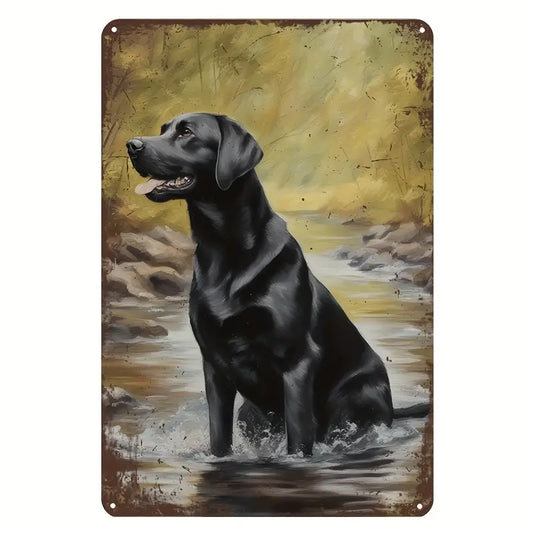 Dog Labrador Black in water