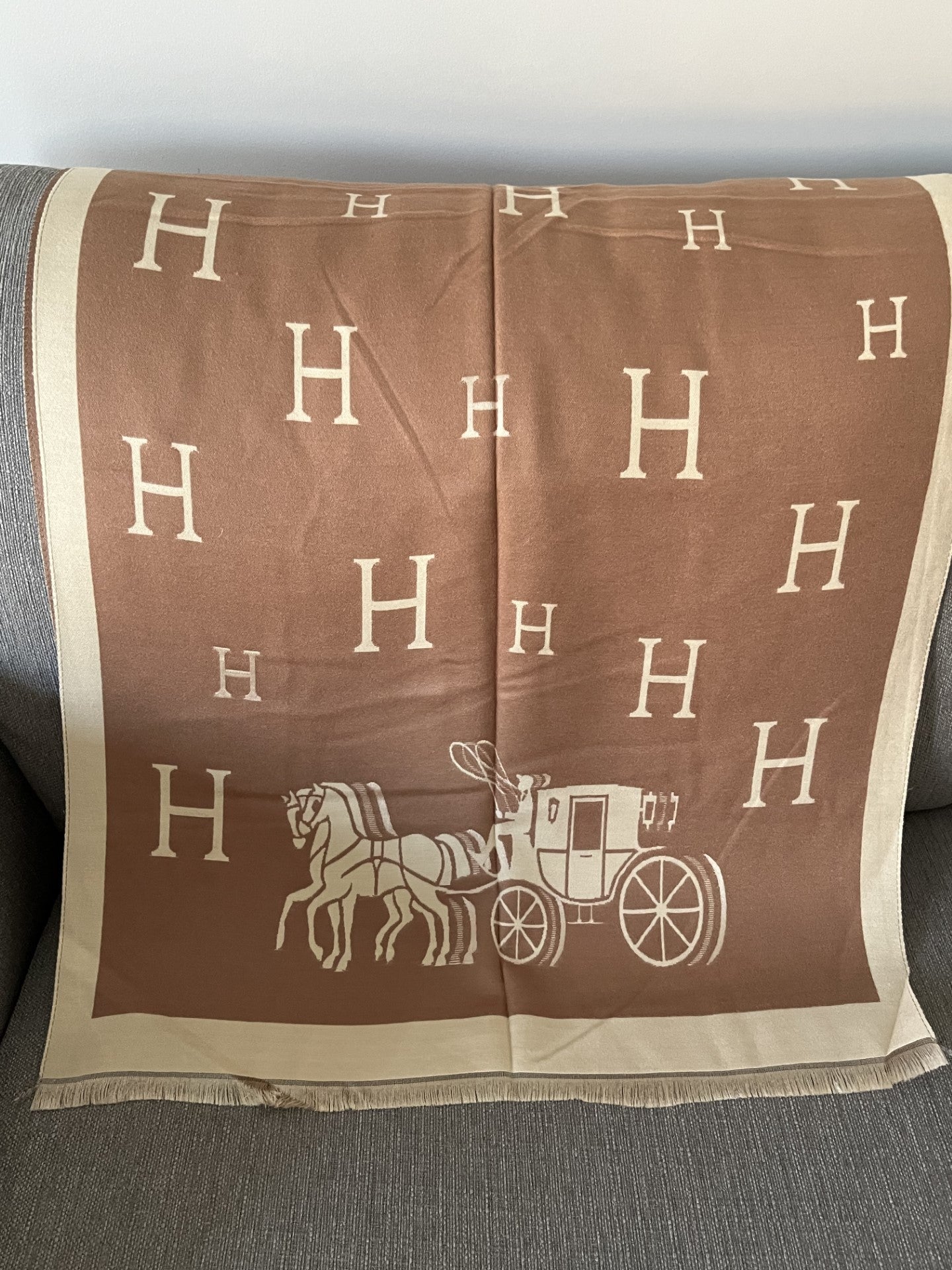 Scarf - Pashmina F