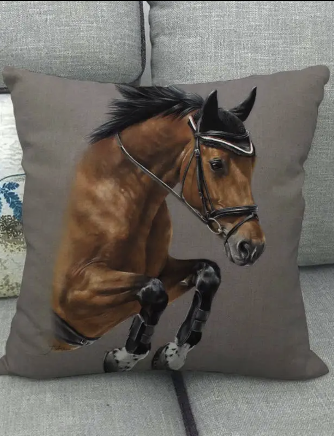 Horse Head Bay Jumping  Bonnet