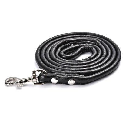 Dog  -  Lead