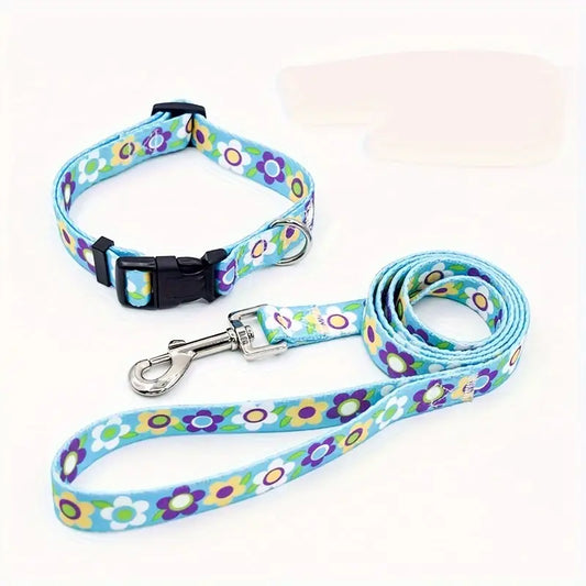 Dog  - Webbing Lead and collar sets
