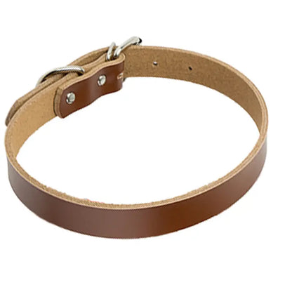 Dog Collar - Leather Large
