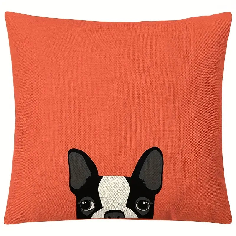 Dog Peeking Orange