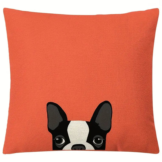 Dog Peeking Orange