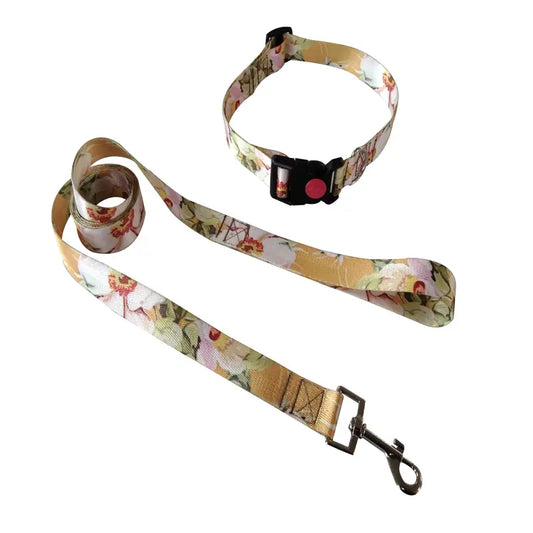 Dog Collar and lead Set Small or Large