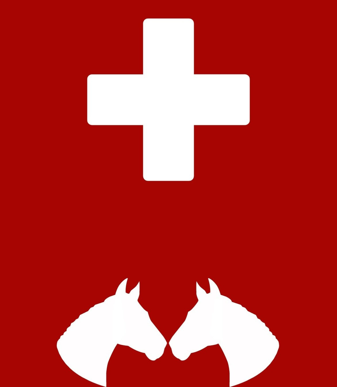 Horse  First Aid Kit