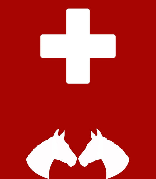 Horse  First Aid Kit