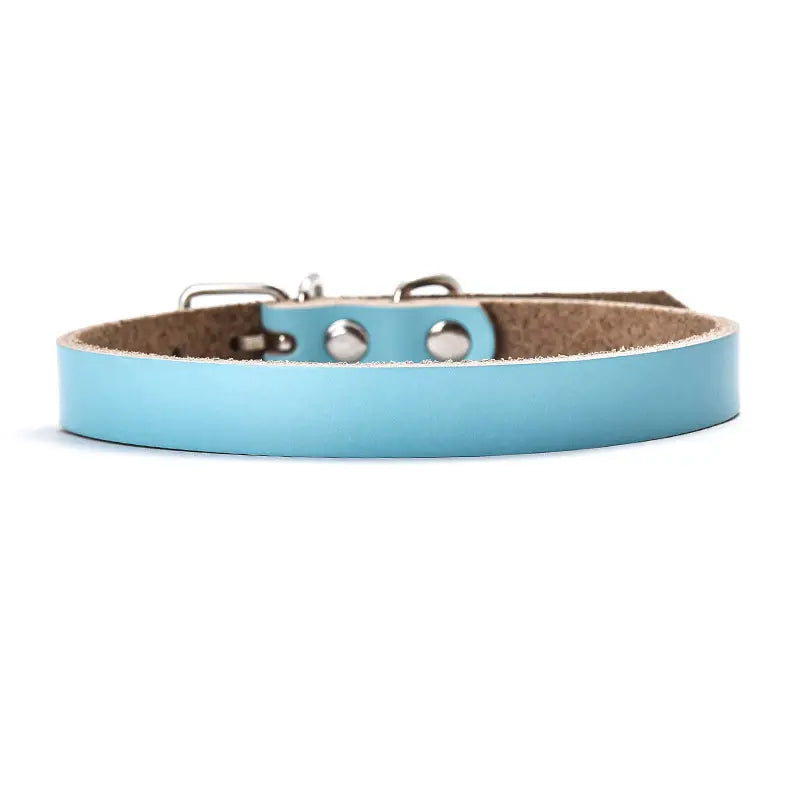 Dog Collar Various Colours