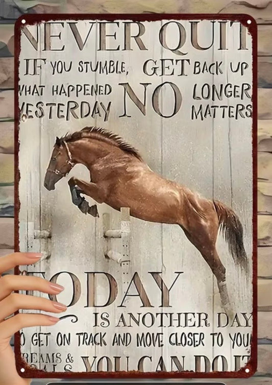Never Quit! Don't Give Up!
