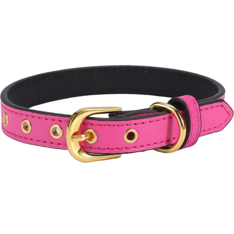 Dog Collar Various Colours