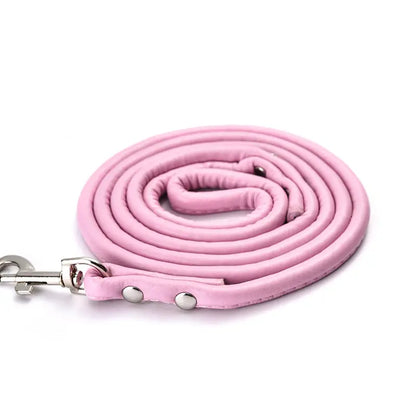 Dog  -  Lead