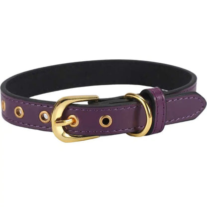 Dog Collar Various Colours
