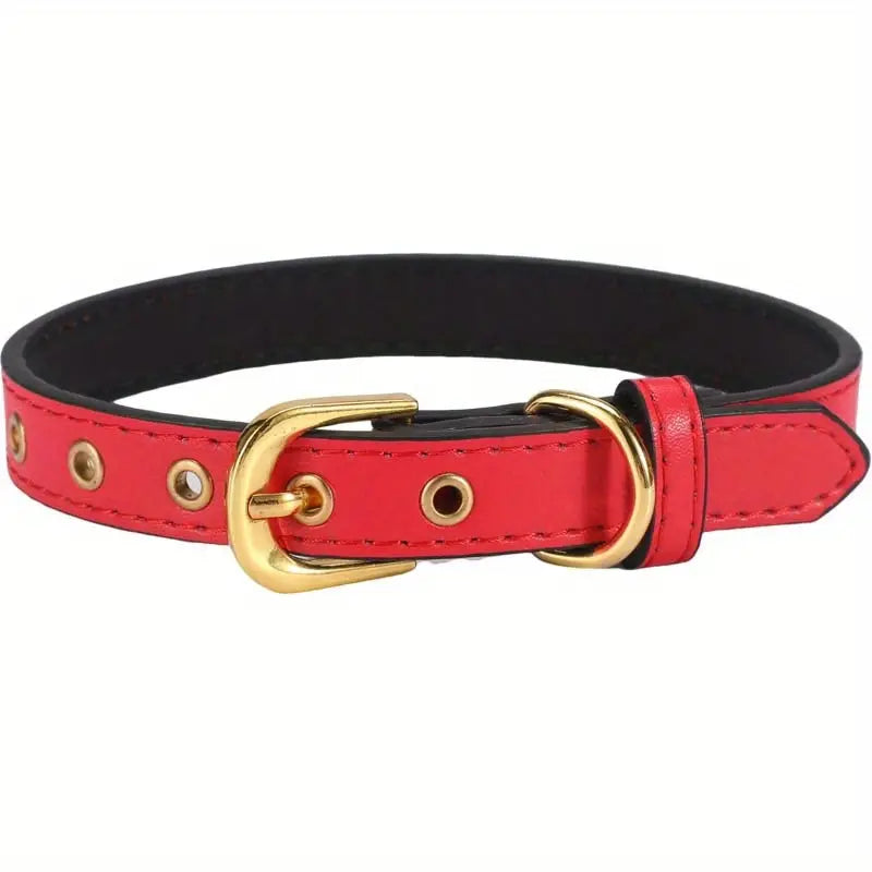 Dog Collar Various Colours