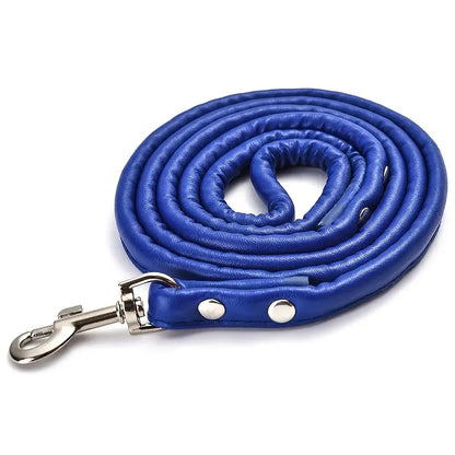 Dog  -  Lead