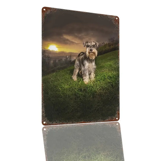 Schnauzer - 2